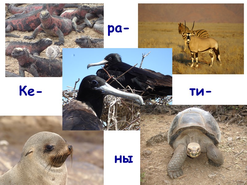 63 Ке- ны ти- ра-